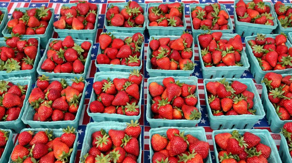 Cedarburg Strawberry Festival 2026: Dates, Parking & Visitor Guide