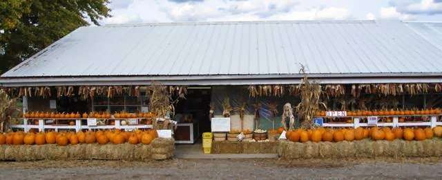 Witte's Vegetable Farm LLC