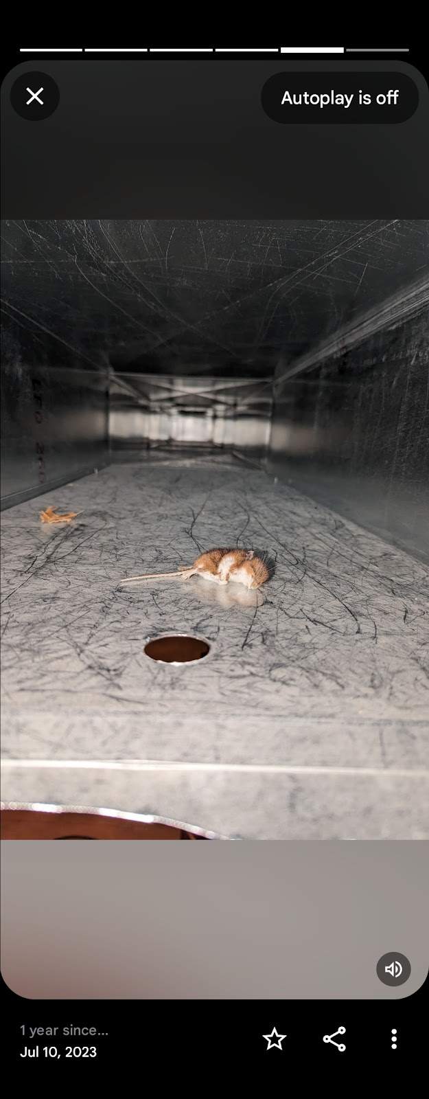 Wisconsin Natural Air Duct Cleaning Cedarburg — photo 3