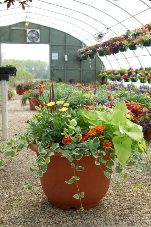 Heyden's Gardens — photo 5