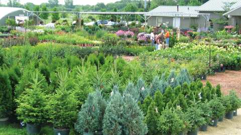 Heyden's Gardens — photo 2