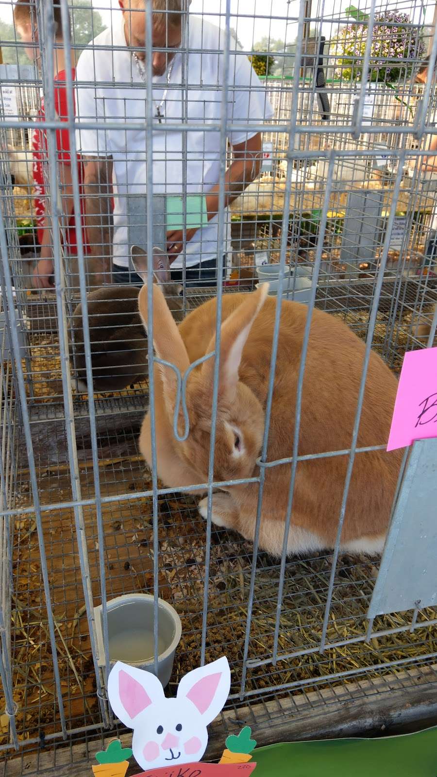 Ozaukee County Fairgrounds